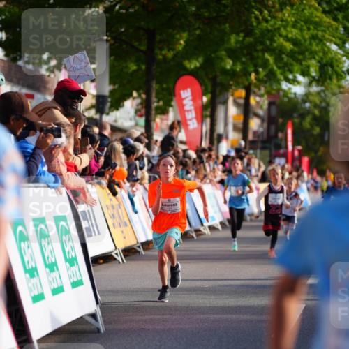 20.09.2026 - PSD Bank Halbmarathon LAZAROV Photography http://msf.ph/oto/10510791 20.09.2026 10:30:46 Laufen  meine-sportfotos.de