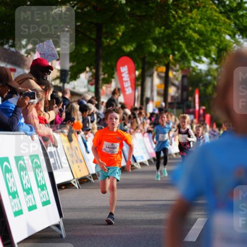 20.09.2026 - PSD Bank Halbmarathon LAZAROV Photography http://msf.ph/oto/10510797 20.09.2026 10:30:46 Laufen  meine-sportfotos.de