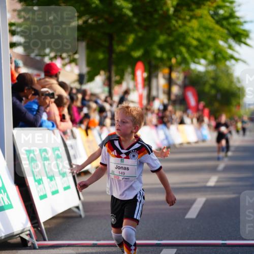 20.09.2026 - PSD Bank Halbmarathon LAZAROV Photography http://msf.ph/oto/10510871 20.09.2026 10:30:52 Laufen 149 meine-sportfotos.de