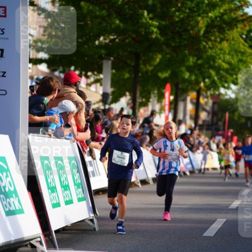 20.09.2026 - PSD Bank Halbmarathon LAZAROV Photography http://msf.ph/oto/10511000 20.09.2026 10:31:14 Laufen 7 meine-sportfotos.de