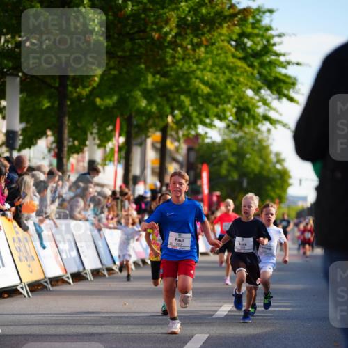 20.09.2026 - PSD Bank Halbmarathon LAZAROV Photography http://msf.ph/oto/10511051 20.09.2026 10:31:18 Laufen 280 meine-sportfotos.de