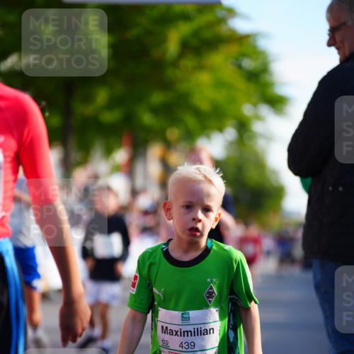 20.09.2026 - PSD Bank Halbmarathon LAZAROV Photography http://msf.ph/oto/10511133 20.09.2026 10:31:26 Laufen 125, 439 meine-sportfotos.de