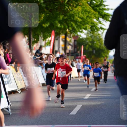 20.09.2026 - PSD Bank Halbmarathon LAZAROV Photography http://msf.ph/oto/10511174 20.09.2026 10:31:30 Laufen 410 meine-sportfotos.de