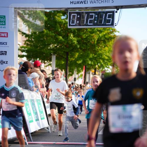 20.09.2026 - PSD Bank Halbmarathon LAZAROV Photography http://msf.ph/oto/10511252 20.09.2026 10:31:39 Laufen 219, 5, 0, 42, 85, 20 meine-sportfotos.de
