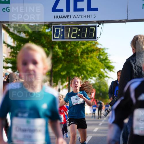 20.09.2026 - PSD Bank Halbmarathon LAZAROV Photography http://msf.ph/oto/10511274 20.09.2026 10:31:41 Laufen 5, 0, 12, 07, 375 meine-sportfotos.de