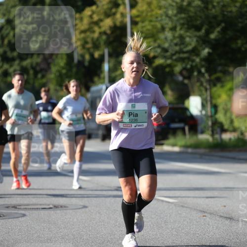 20.09.2026 - PSD Bank Halbmarathon Jannik Wohlers http://msf.ph/oto/10511280 20.09.2026 10:30:08 Laufen 1236 meine-sportfotos.de