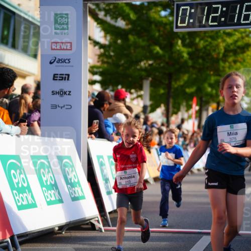 20.09.2026 - PSD Bank Halbmarathon LAZAROV Photography http://msf.ph/oto/10511288 20.09.2026 10:31:42 Laufen 340, 0, 12, 16, 9210, 375 meine-sportfotos.de