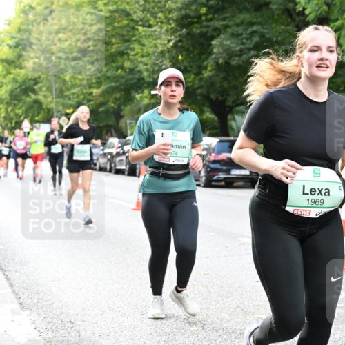 20.09.2026 - PSD Bank Halbmarathon Dr. Thomas Lammeyer http://msf.ph/oto/10511311 20.09.2026 11:07:10 Laufen 574, 4, 1969 meine-sportfotos.de