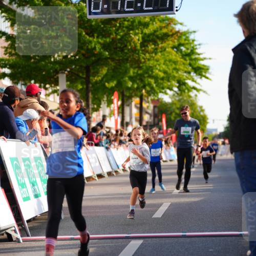 20.09.2026 - PSD Bank Halbmarathon LAZAROV Photography http://msf.ph/oto/10511338 20.09.2026 10:31:51 Laufen 261 meine-sportfotos.de