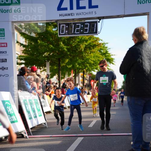 20.09.2026 - PSD Bank Halbmarathon LAZAROV Photography http://msf.ph/oto/10511370 20.09.2026 10:31:55 Laufen 3, 5, 0, 12, 39, 451 meine-sportfotos.de