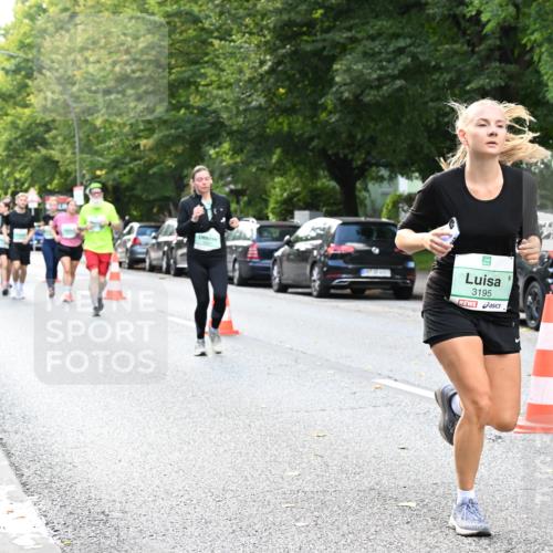 20.09.2026 - PSD Bank Halbmarathon Dr. Thomas Lammeyer http://msf.ph/oto/10511389 20.09.2026 11:07:14 Laufen 3195 meine-sportfotos.de