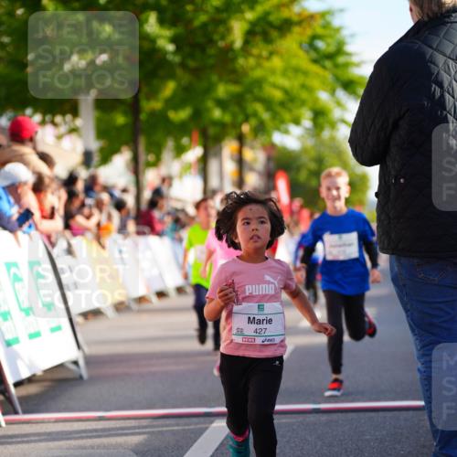 20.09.2026 - PSD Bank Halbmarathon LAZAROV Photography http://msf.ph/oto/10511434 20.09.2026 10:32:01 Laufen 427 meine-sportfotos.de