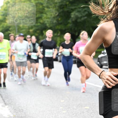 20.09.2026 - PSD Bank Halbmarathon Dr. Thomas Lammeyer http://msf.ph/oto/10511520 20.09.2026 11:07:21 Laufen 3325 meine-sportfotos.de