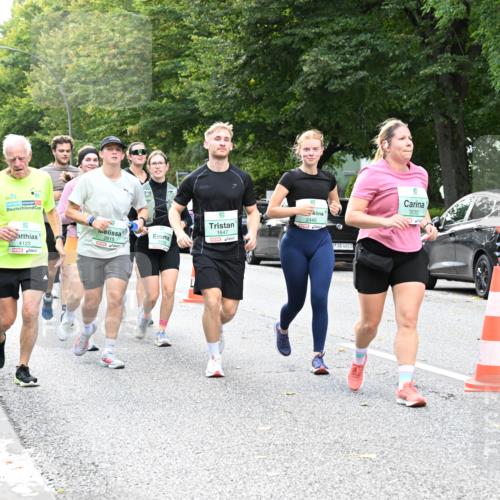 20.09.2026 - PSD Bank Halbmarathon Dr. Thomas Lammeyer http://msf.ph/oto/10511524 20.09.2026 11:07:21 Laufen 2615, 4123, 1647, 2440, 4683, 3630 meine-sportfotos.de