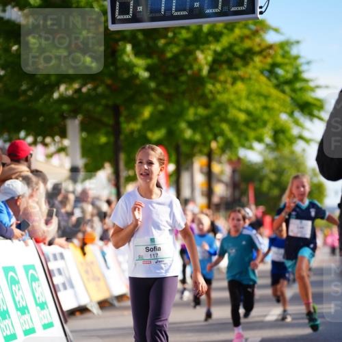 20.09.2026 - PSD Bank Halbmarathon LAZAROV Photography http://msf.ph/oto/10511576 20.09.2026 10:32:17 Laufen 117 meine-sportfotos.de