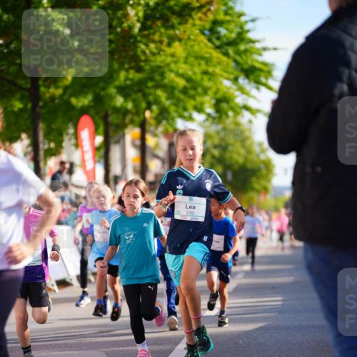 20.09.2026 - PSD Bank Halbmarathon LAZAROV Photography http://msf.ph/oto/10511580 20.09.2026 10:32:17 Laufen 99, 249 meine-sportfotos.de