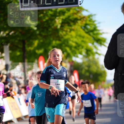 20.09.2026 - PSD Bank Halbmarathon LAZAROV Photography http://msf.ph/oto/10511593 20.09.2026 10:32:18 Laufen 249, 1 meine-sportfotos.de