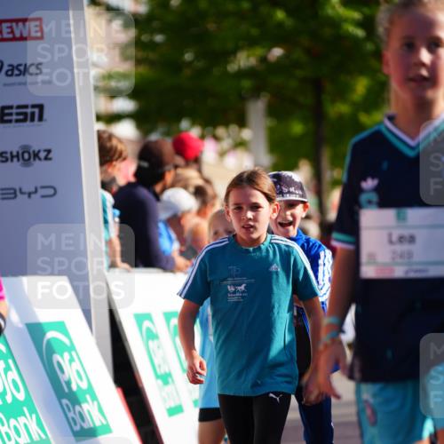 20.09.2026 - PSD Bank Halbmarathon LAZAROV Photography http://msf.ph/oto/10511609 20.09.2026 10:32:20 Laufen 340, 17, 249 meine-sportfotos.de