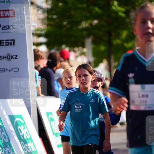 20.09.2026 - PSD Bank Halbmarathon LAZAROV Photography http://msf.ph/oto/10511615 20.09.2026 10:32:20 Laufen 7, 17, 249 meine-sportfotos.de
