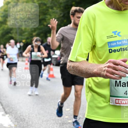 20.09.2026 - PSD Bank Halbmarathon Dr. Thomas Lammeyer http://msf.ph/oto/10511630 20.09.2026 11:07:25 Laufen 4123 meine-sportfotos.de