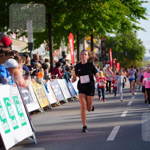 20.09.2026 - PSD Bank Halbmarathon LAZAROV Photography http://msf.ph/oto/10511644 20.09.2026 10:32:27 Laufen 3 meine-sportfotos.de