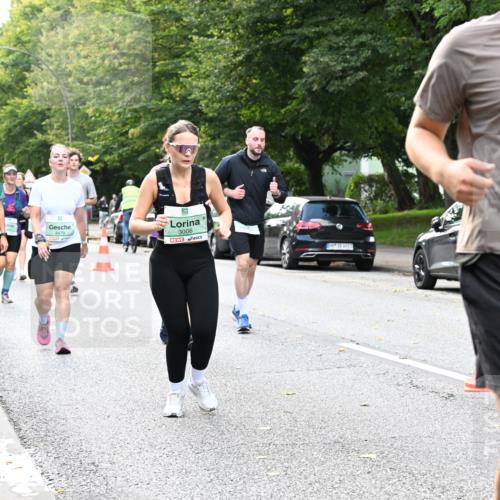 20.09.2026 - PSD Bank Halbmarathon Dr. Thomas Lammeyer http://msf.ph/oto/10511657 20.09.2026 11:07:26 Laufen 3006, 4683, 1598, 253 meine-sportfotos.de
