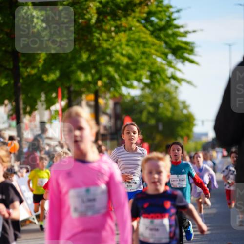 20.09.2026 - PSD Bank Halbmarathon LAZAROV Photography http://msf.ph/oto/10511705 20.09.2026 10:32:32 Laufen 129, 198 meine-sportfotos.de