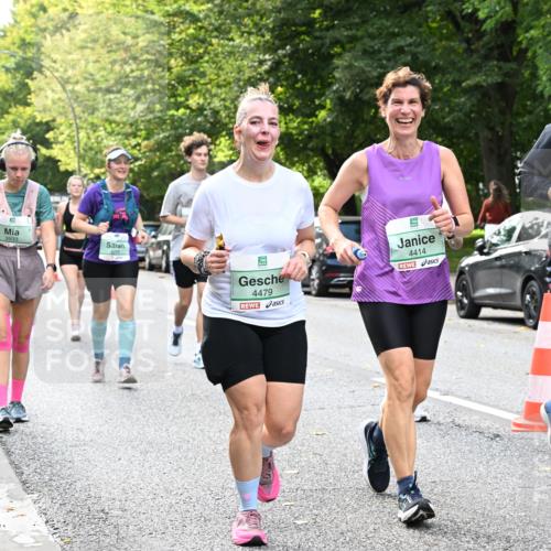 20.09.2026 - PSD Bank Halbmarathon Dr. Thomas Lammeyer http://msf.ph/oto/10511735 20.09.2026 11:07:29 Laufen 3933, 4245, 4479, 4414, 4298 meine-sportfotos.de