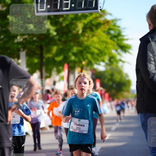 20.09.2026 - PSD Bank Halbmarathon LAZAROV Photography http://msf.ph/oto/10511771 20.09.2026 10:32:42 Laufen 88, 200 meine-sportfotos.de