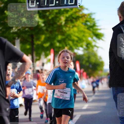 20.09.2026 - PSD Bank Halbmarathon LAZAROV Photography http://msf.ph/oto/10511779 20.09.2026 10:32:42 Laufen 200 meine-sportfotos.de