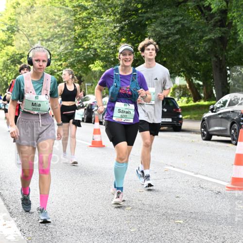 20.09.2026 - PSD Bank Halbmarathon Dr. Thomas Lammeyer http://msf.ph/oto/10511786 20.09.2026 11:07:31 Laufen 3933, 101, 4245 meine-sportfotos.de