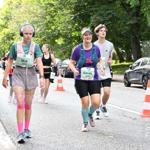 20.09.2026 - PSD Bank Halbmarathon Dr. Thomas Lammeyer http://msf.ph/oto/10511792 20.09.2026 11:07:31 Laufen 3933, 4245 meine-sportfotos.de