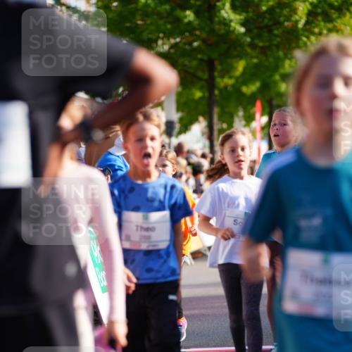 20.09.2026 - PSD Bank Halbmarathon LAZAROV Photography http://msf.ph/oto/10511796 20.09.2026 10:32:43 Laufen 33 meine-sportfotos.de