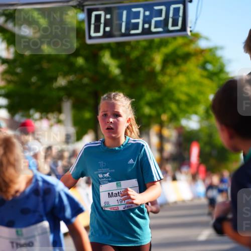 20.09.2026 - PSD Bank Halbmarathon LAZAROV Photography http://msf.ph/oto/10511804 20.09.2026 10:32:44 Laufen 0, 13, 20, 19 meine-sportfotos.de