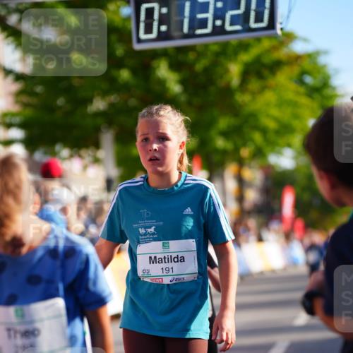 20.09.2026 - PSD Bank Halbmarathon LAZAROV Photography http://msf.ph/oto/10511808 20.09.2026 10:32:44 Laufen 288, 0, 13, 28, 190, 191 meine-sportfotos.de