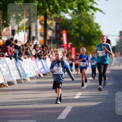 20.09.2026 - PSD Bank Halbmarathon LAZAROV Photography http://msf.ph/oto/10511817 20.09.2026 10:32:48 Laufen 441, 10 meine-sportfotos.de