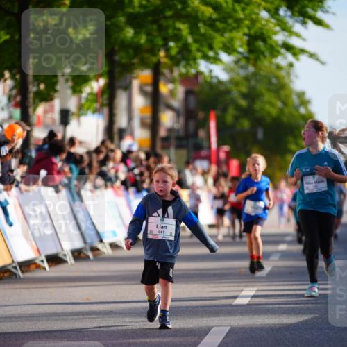 20.09.2026 - PSD Bank Halbmarathon LAZAROV Photography http://msf.ph/oto/10511827 20.09.2026 10:32:49 Laufen 9441 meine-sportfotos.de