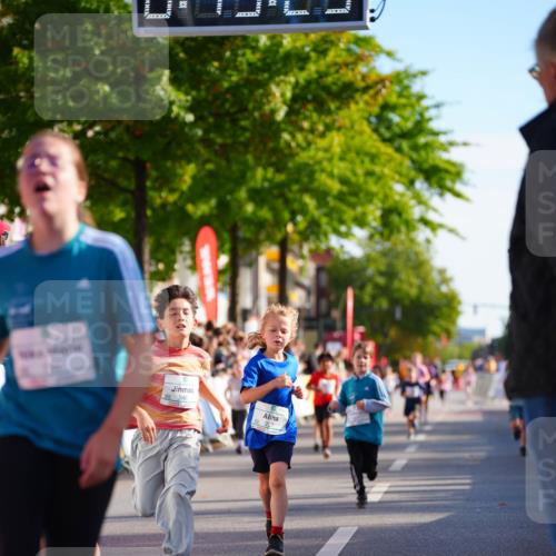20.09.2026 - PSD Bank Halbmarathon LAZAROV Photography http://msf.ph/oto/10511876 20.09.2026 10:32:54 Laufen 308, 246, 223 meine-sportfotos.de