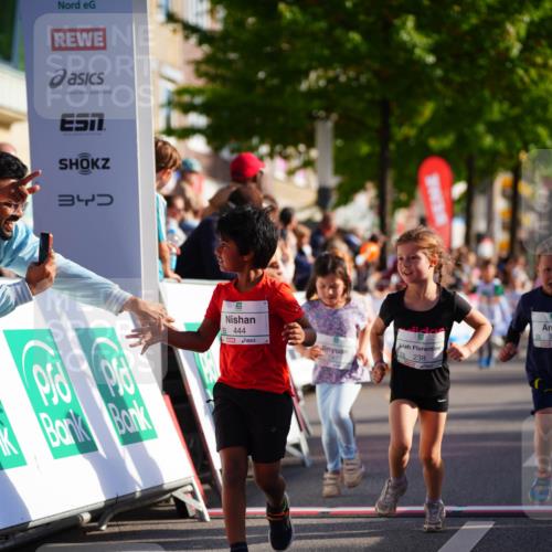 20.09.2026 - PSD Bank Halbmarathon LAZAROV Photography http://msf.ph/oto/10511936 20.09.2026 10:33:02 Laufen 34, 5, 444, 238 meine-sportfotos.de