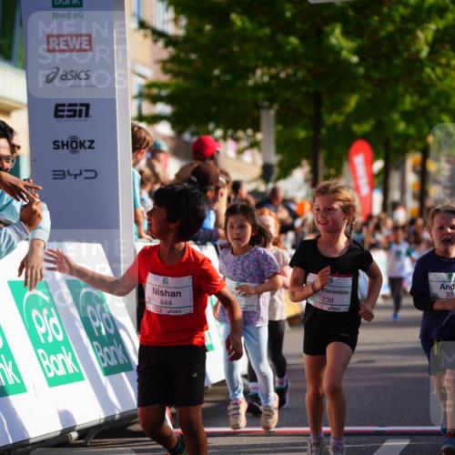 20.09.2026 - PSD Bank Halbmarathon LAZAROV Photography http://msf.ph/oto/10511942 20.09.2026 10:33:02 Laufen 34, 444, 238, 374 meine-sportfotos.de