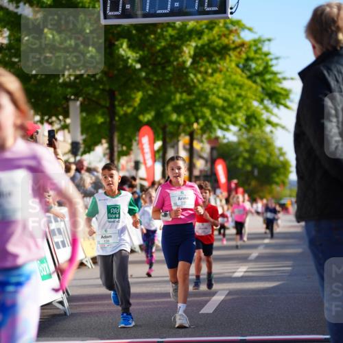 20.09.2026 - PSD Bank Halbmarathon LAZAROV Photography http://msf.ph/oto/10511980 20.09.2026 10:33:07 Laufen  meine-sportfotos.de