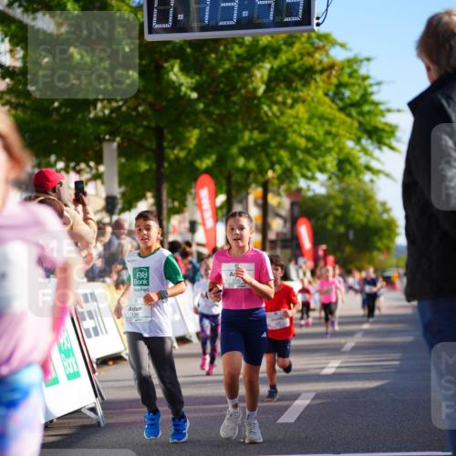 20.09.2026 - PSD Bank Halbmarathon LAZAROV Photography http://msf.ph/oto/10511983 20.09.2026 10:33:07 Laufen 139, 235 meine-sportfotos.de