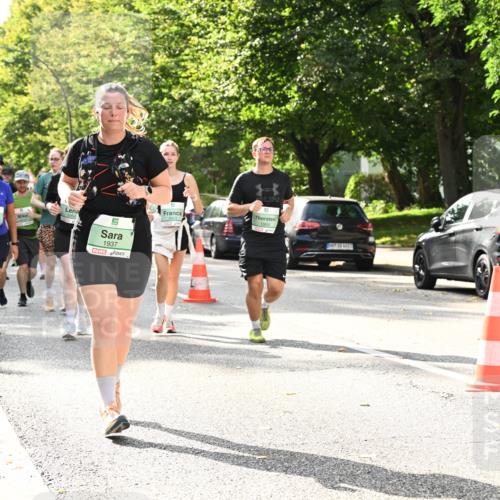 20.09.2026 - PSD Bank Halbmarathon Dr. Thomas Lammeyer http://msf.ph/oto/10512061 20.09.2026 11:07:42 Laufen 1937, 1869 meine-sportfotos.de