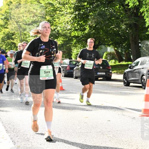 20.09.2026 - PSD Bank Halbmarathon Dr. Thomas Lammeyer http://msf.ph/oto/10512075 20.09.2026 11:07:42 Laufen 1937, 1869 meine-sportfotos.de