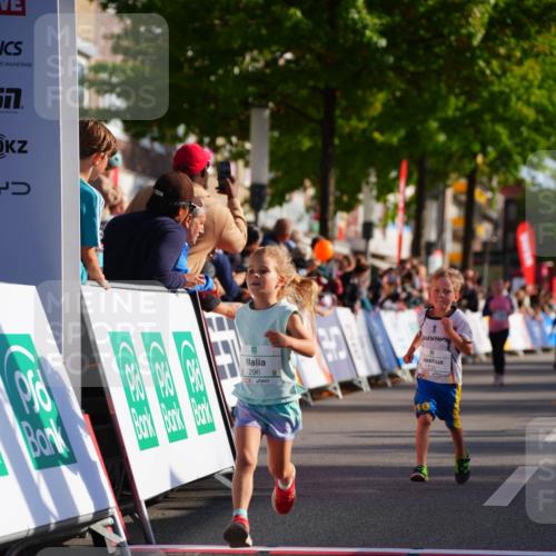 20.09.2026 - PSD Bank Halbmarathon LAZAROV Photography http://msf.ph/oto/10512081 20.09.2026 10:33:18 Laufen  meine-sportfotos.de