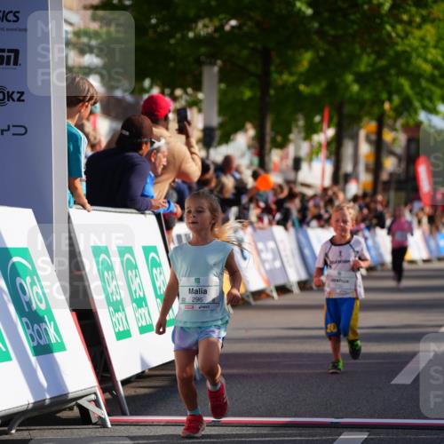 20.09.2026 - PSD Bank Halbmarathon LAZAROV Photography http://msf.ph/oto/10512086 20.09.2026 10:33:19 Laufen  meine-sportfotos.de
