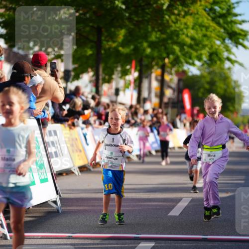 20.09.2026 - PSD Bank Halbmarathon LAZAROV Photography http://msf.ph/oto/10512100 20.09.2026 10:33:20 Laufen  meine-sportfotos.de