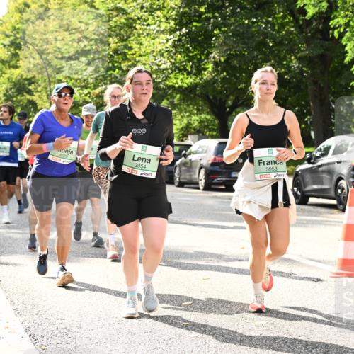 20.09.2026 - PSD Bank Halbmarathon Dr. Thomas Lammeyer http://msf.ph/oto/10512134 20.09.2026 11:07:44 Laufen 4229, 3954, 3953, 1 meine-sportfotos.de