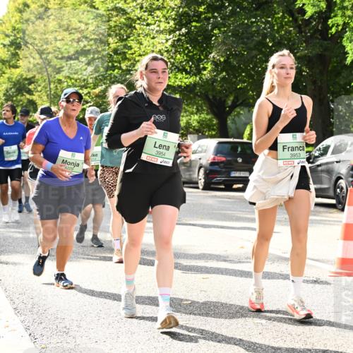 20.09.2026 - PSD Bank Halbmarathon Dr. Thomas Lammeyer http://msf.ph/oto/10512138 20.09.2026 11:07:45 Laufen 4229, 1214, 3954, 3953 meine-sportfotos.de