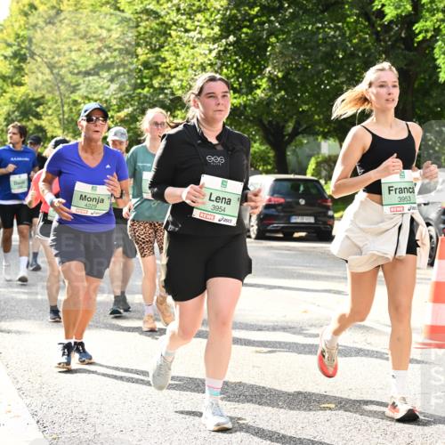 20.09.2026 - PSD Bank Halbmarathon Dr. Thomas Lammeyer http://msf.ph/oto/10512142 20.09.2026 11:07:45 Laufen 9, 4229, 3954, 3953 meine-sportfotos.de